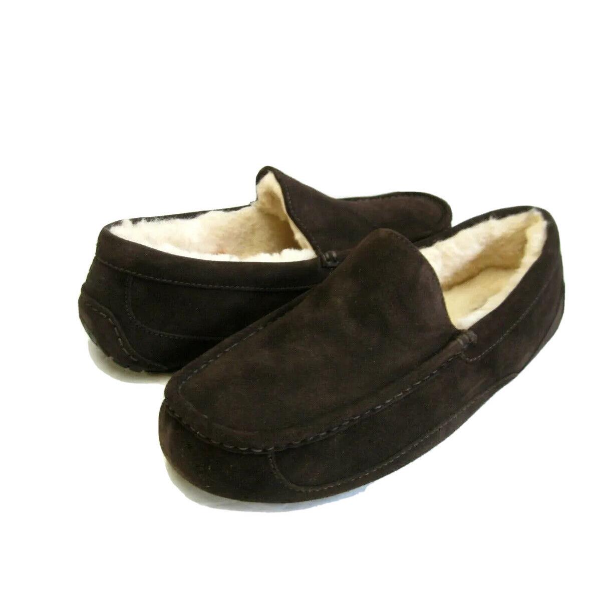 Ugg Ascot Men Slipper Suede Espresso Wide Fit US 14 3E /uk 13 /eu 48.5