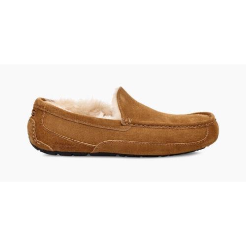 Ugg Men`s Ascot Slipper in Chestnut Light Brown