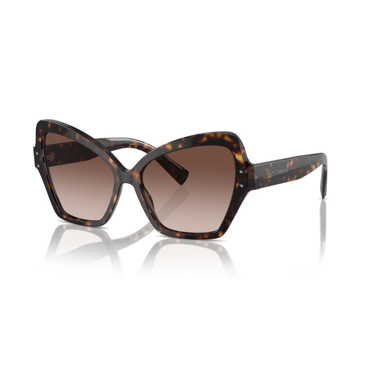 Dolce Gabbana DG 4463 Havana/brown Shaded 502/13 Sunglasses