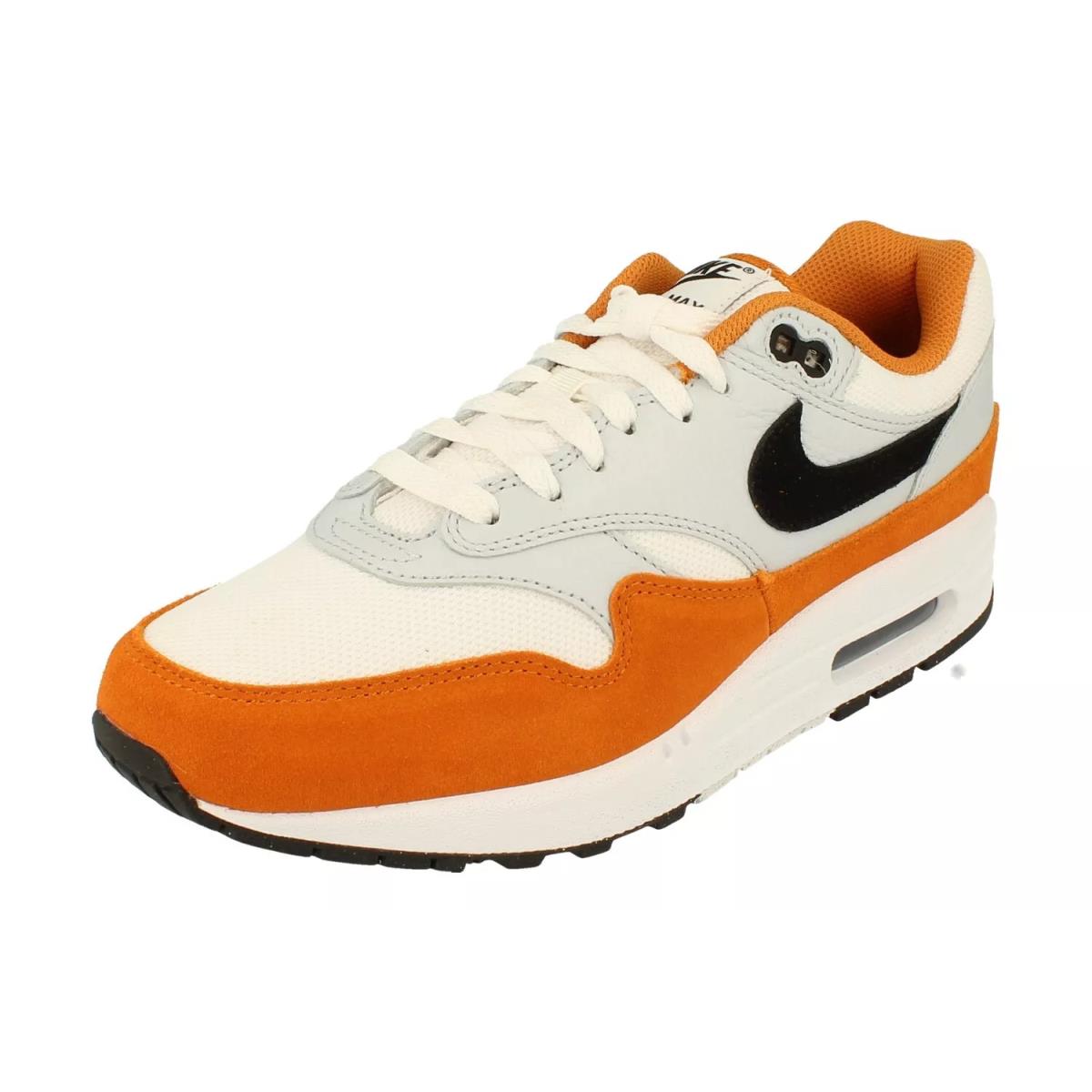 Nike Mens Air Max 1 Running Shoes FN6952 101