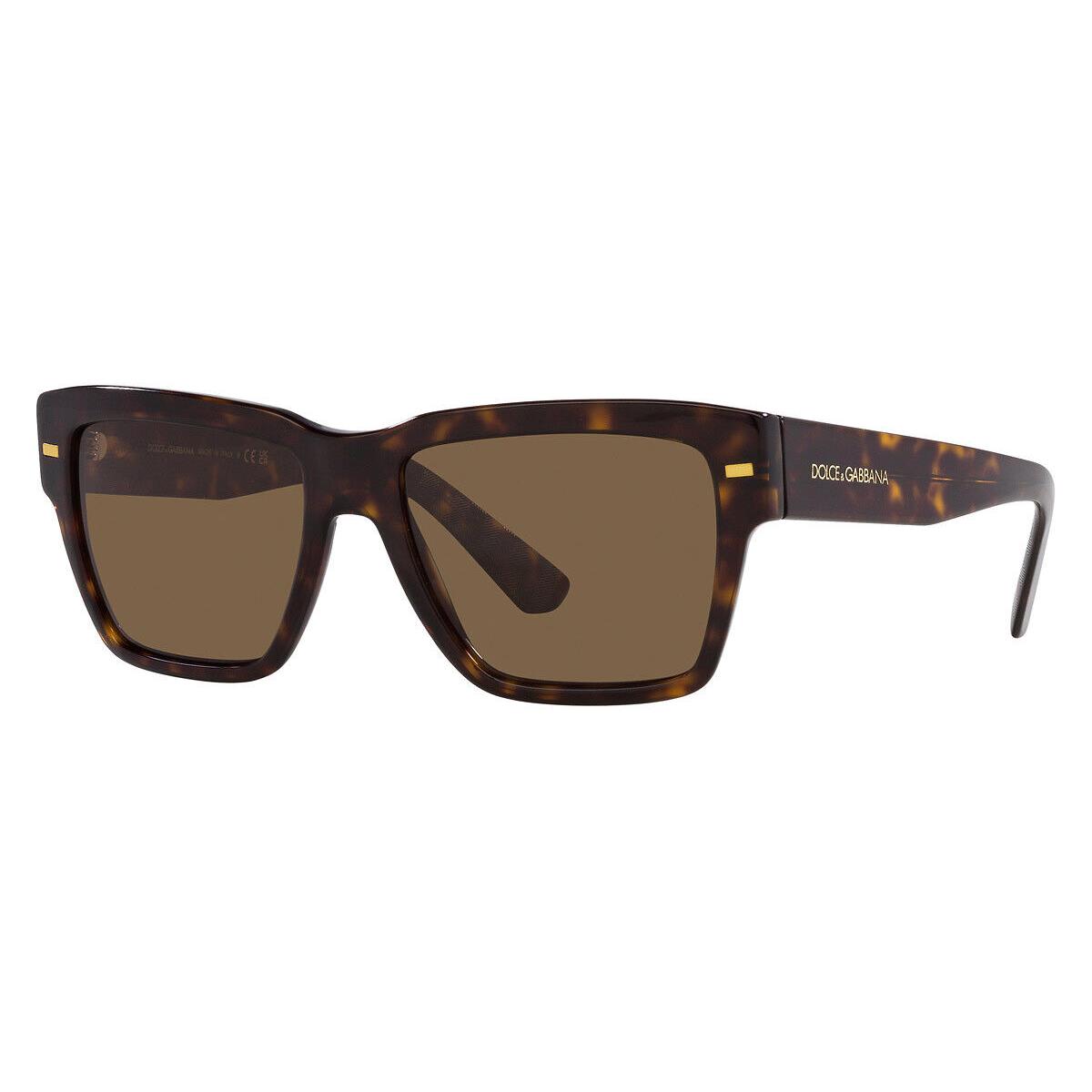 Dolce Gabbana Men`s 55mm Havana Sunglasses DG4431F-502-73-55