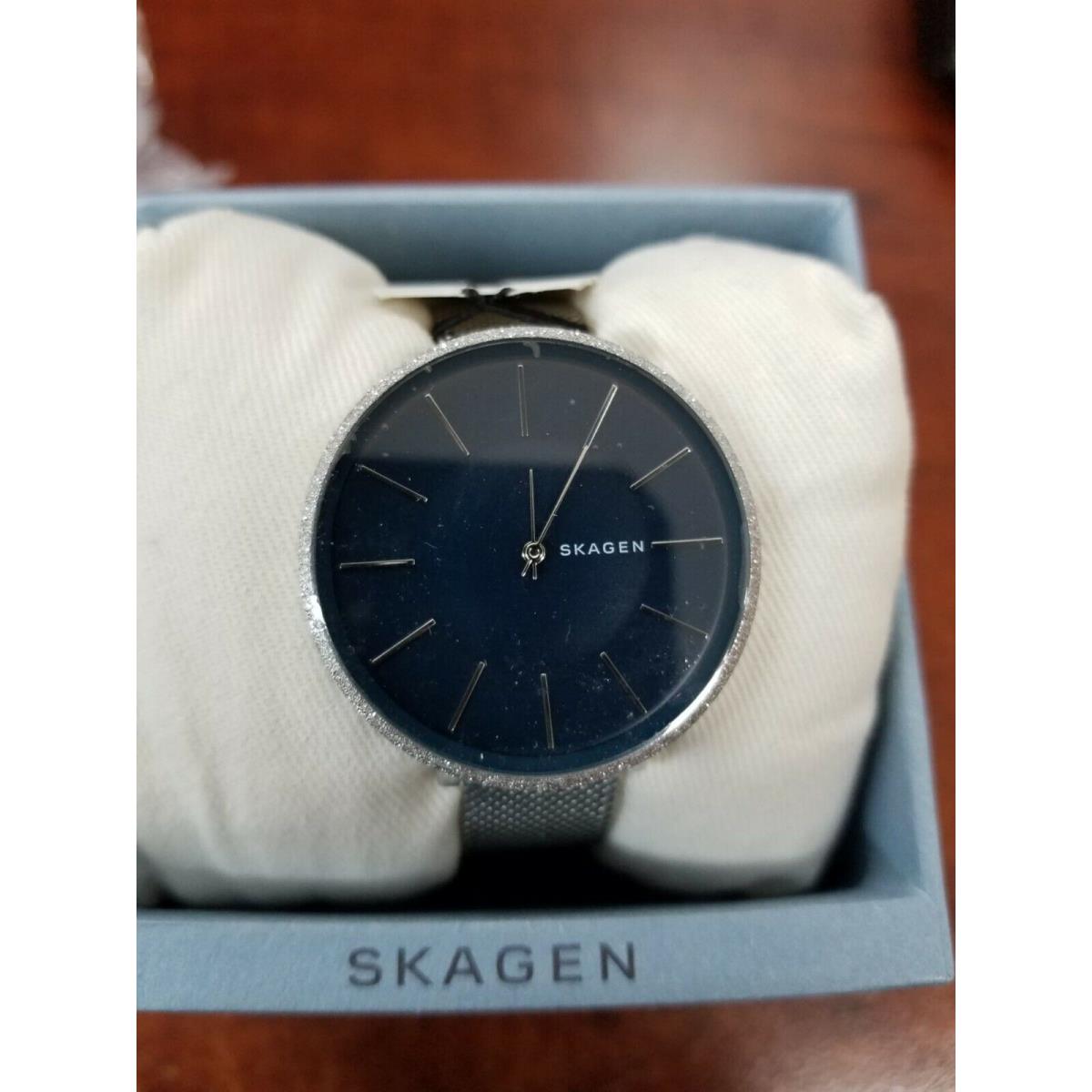 Skagen Women`s Karolina Silk Stainless Steel Mesh Blue Dial Watch SKW2725