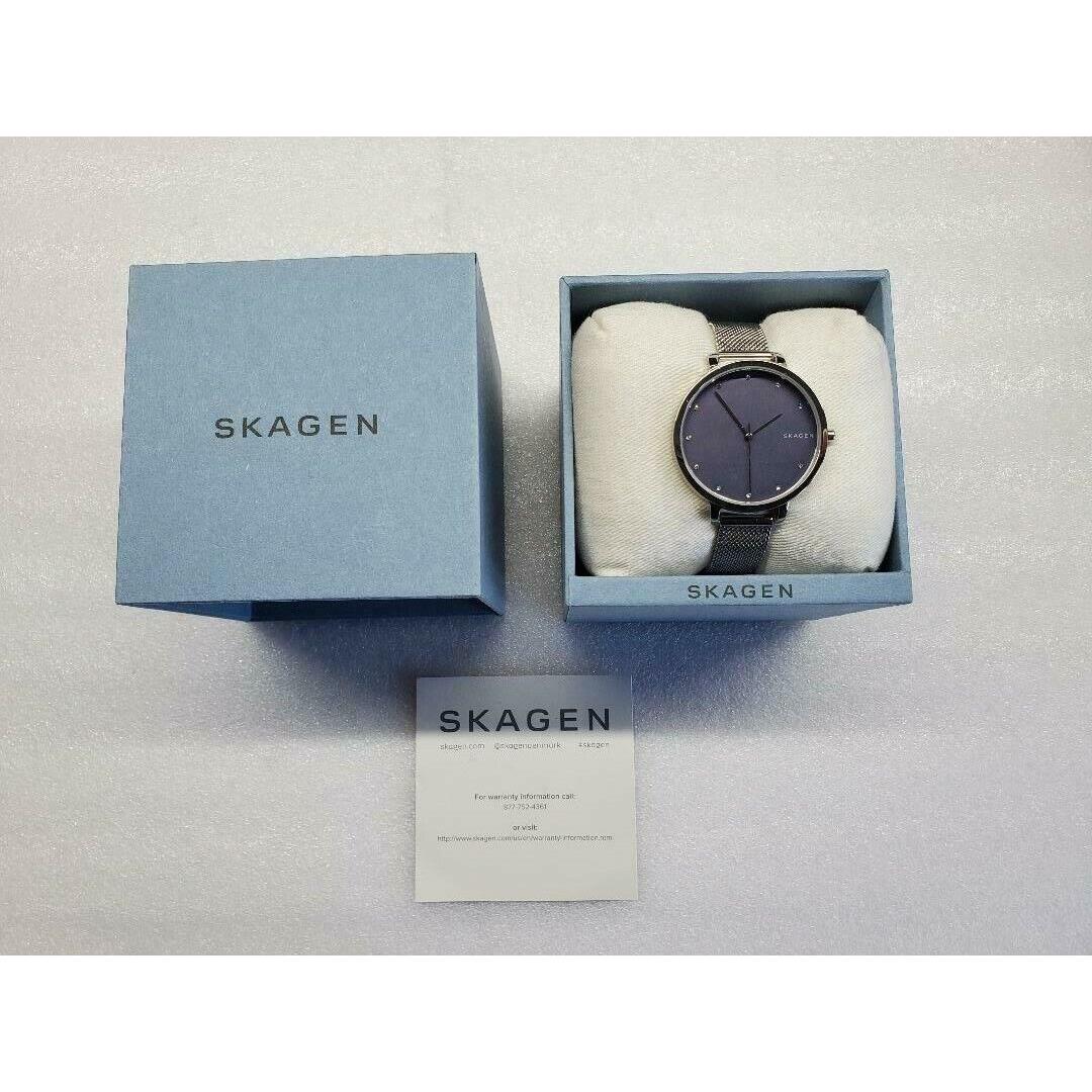 Skagen Hagen Blue Sandblasted Dial Mesh St. Steel Women`s Watch SKW2582