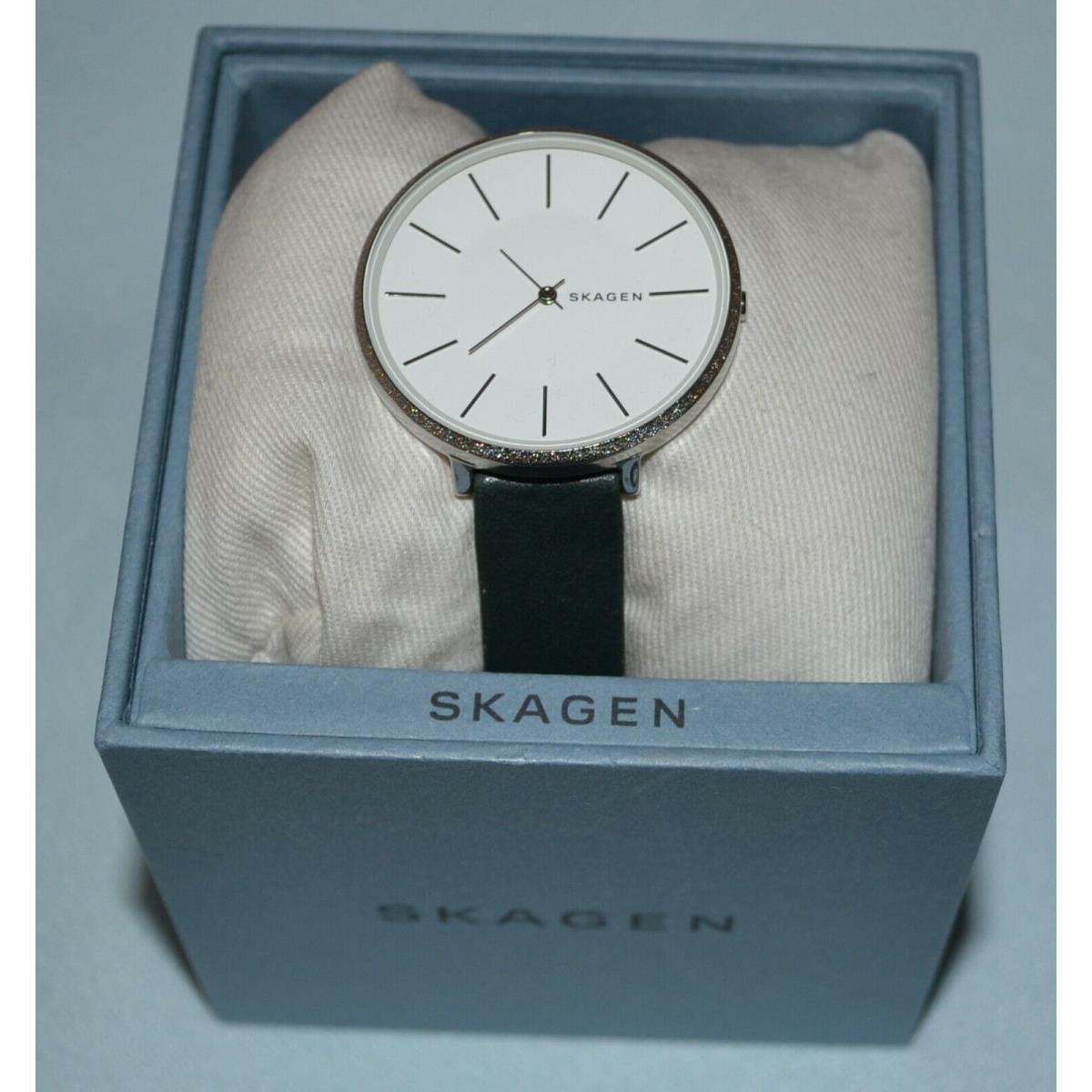 Skagen SKW2724 Ladies Karolina Leather Strap Watch