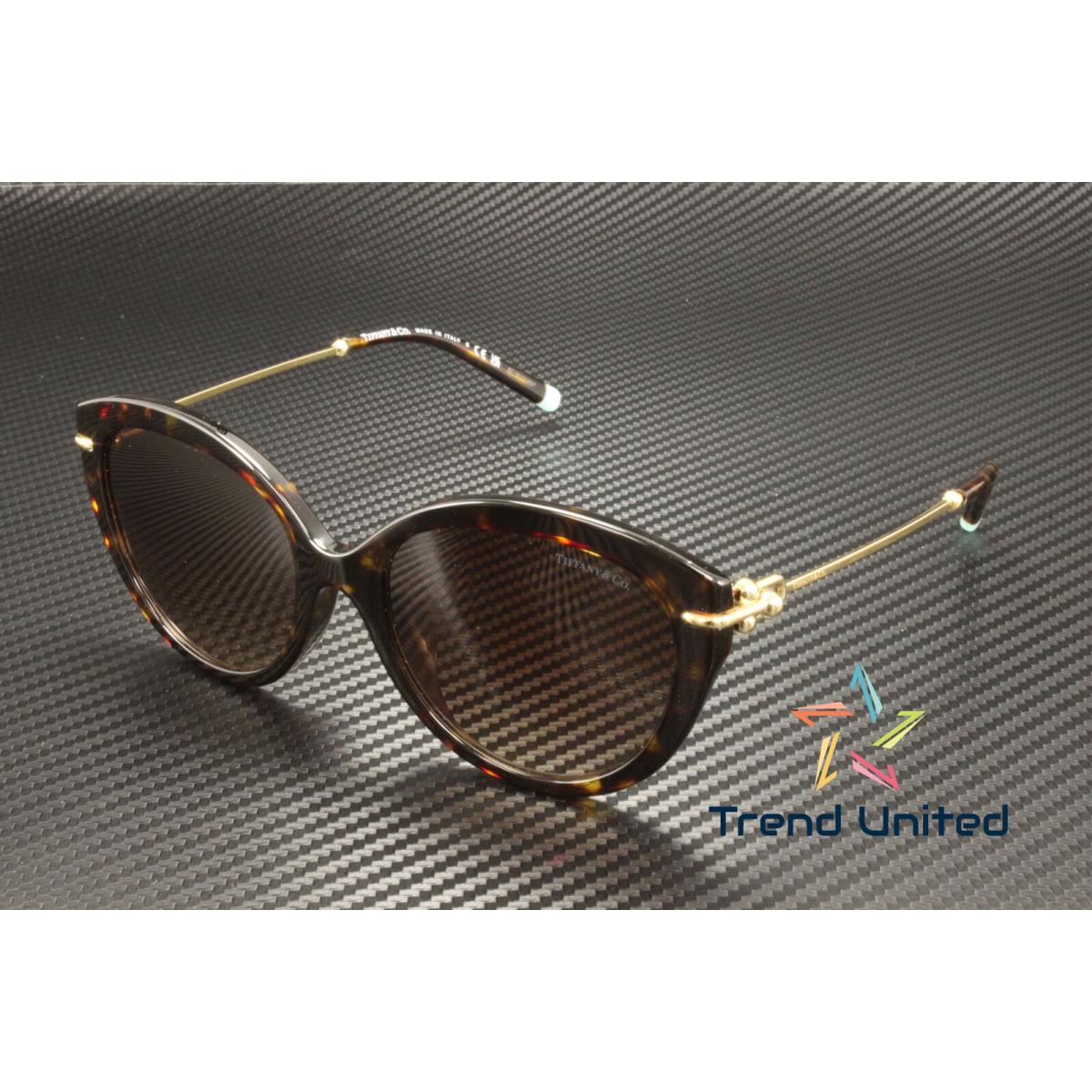 Tiffany Co. TF4187F 80153B Havana Brown Gradient 55 mm Women`s Sunglasses