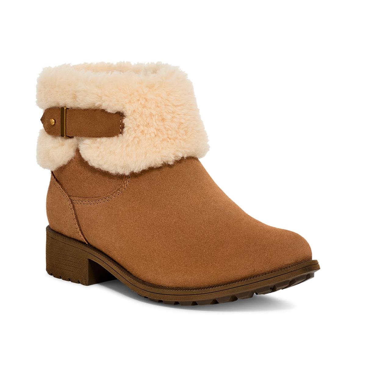 Woman`s Boots Ugg Bodie Bootie