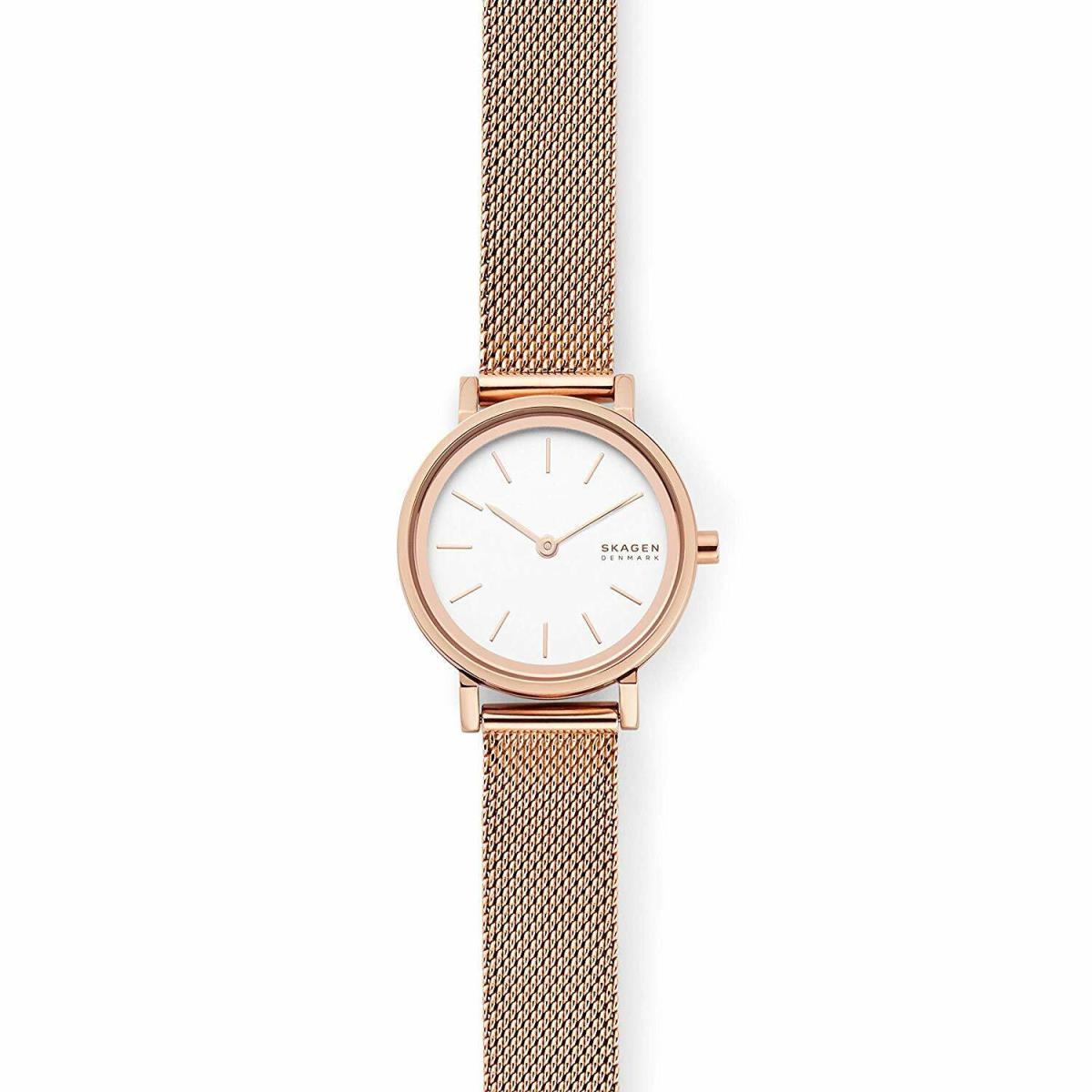 Skagen Women`s Tanja Three-hand Rose Gold-tone Alloy Watch SKW2827 - Gray Dial, Gray Band