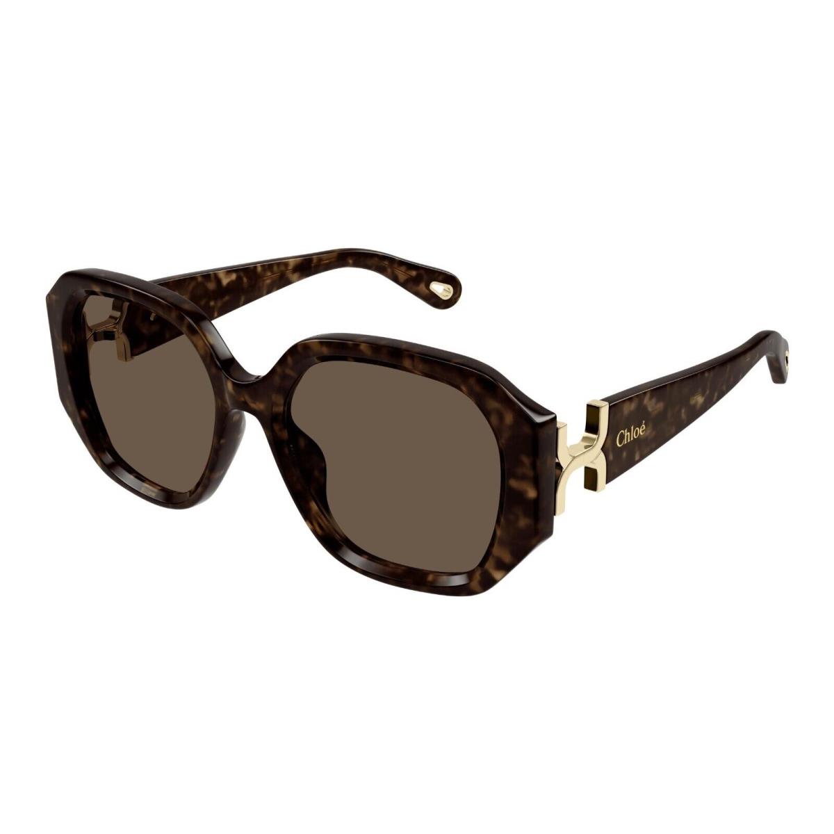 Chlo CH0236S Havana/brown 002 Sunglasses by Chloé