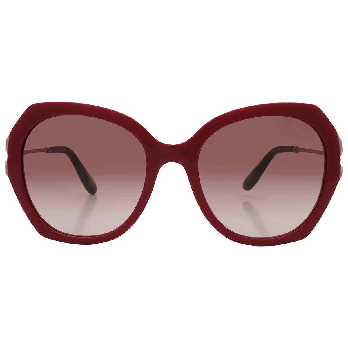 Brown Butterfly Ladies Sunglasses SCH354S 0G96 54 SCH354S 0G96 54 by Chopard