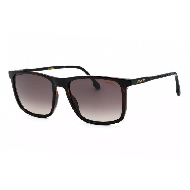 Carrera 231/S 0086 HA Havana/brown Gradient 55-18-145 Sunglasses