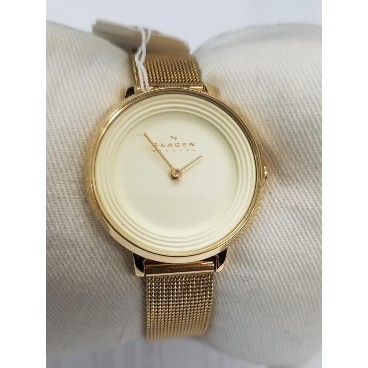 Skagen SKW2212 Ditte Champagne Dial Gold Tone Stainless Women`s Watch