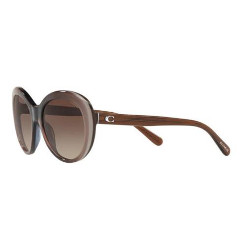 Coach Taupe Oval 54mm Sunglasses/HC8259