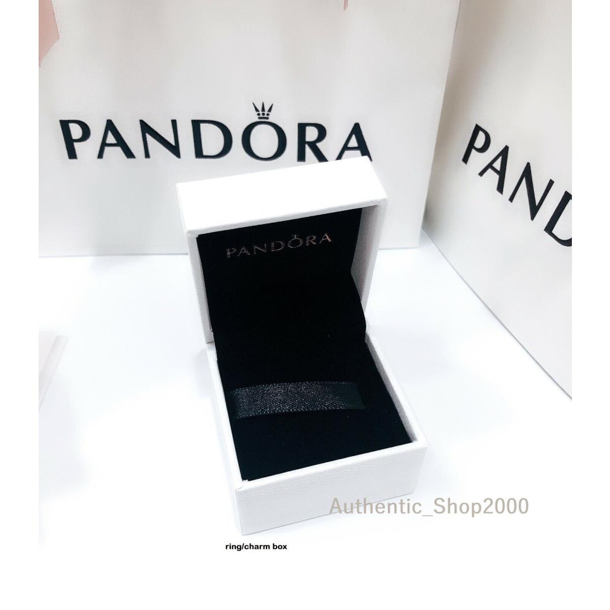 Pandora 925 Family Appreciation Book Charm Pendant 798105