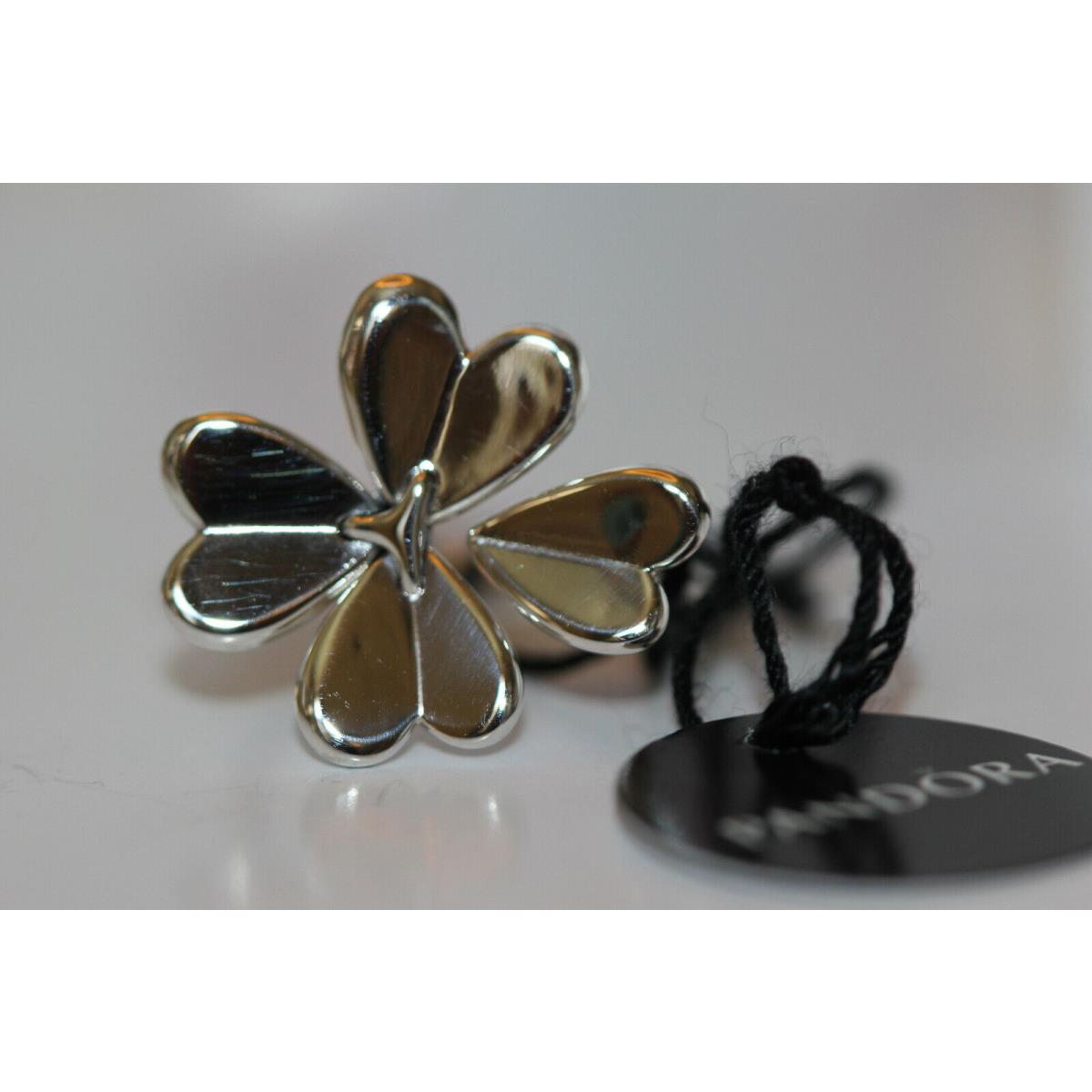 Pandora jewelry  - SILVER 3