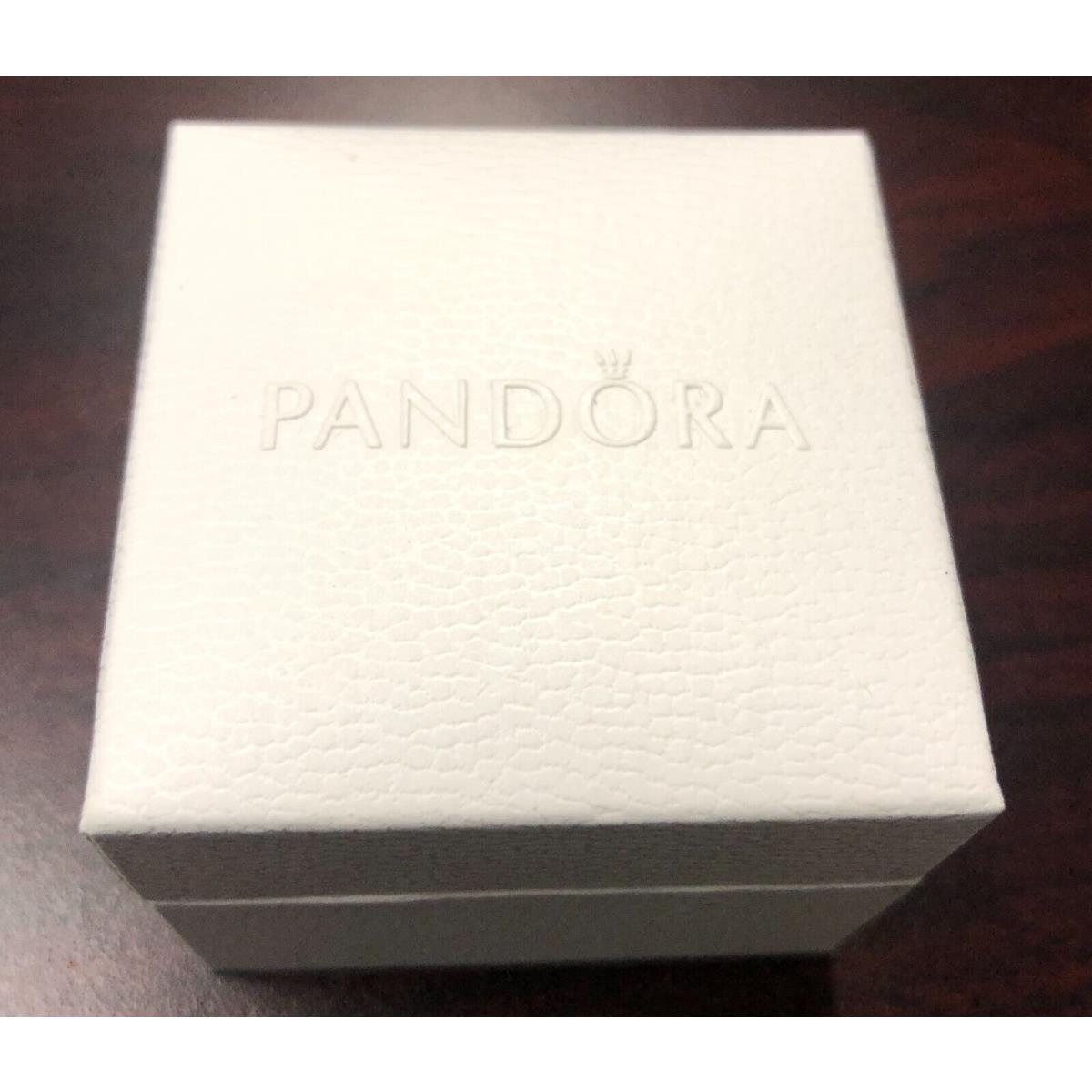 Polishing Cloth, PANDORA